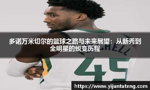 乐发Vll官方网站